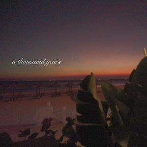 毛片免费在线播放
