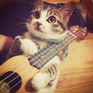 毛片免费在线播放
